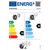 Yokohama BluEarth-Winter (V906) ( 205/55 R17 95V XL BluEarth )