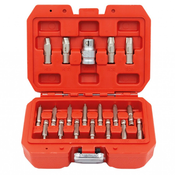 Set za odstranjevanje poškodovanih Torx in Hex vijakov, 19 kosov