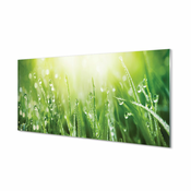 tulup.si Slika na akrilnem steklu Grass sonce kapljice 125x50 cm 4 obešalnika