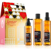 Farmona Jantar Damaged Hair darilni set za lase 3 kos