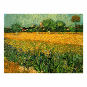 Reprodukcija slike Vincent Van Gogha - View of arles with irises in the foreground, 40 x 30 cm