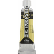 Rembrandt Professional Watercolour Paint 10 ml Oxide Black