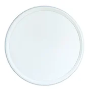 Plafonjera Ferotehna LED 20 W+4 W 1700 lm 3000/4000/6000 K 33 cm IP40 bijela Tara