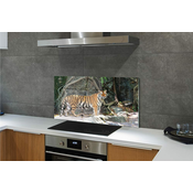 tulup.si Stenska plošča za kuhinjo Tiger jungle 125x50 cm