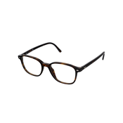 Ray-Ban RX5393 2012