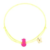 Borboleta Tropic CY-NPNY-70