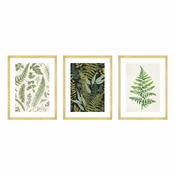 Slike v kompletu 3 ks 30x40 cm Fern – knor
