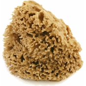 Cose della Natura Honeycomb-naravna spužva-Majhen, 5-6 g