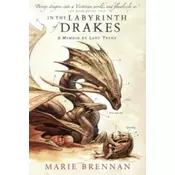 In the Labyrinth of Drakes
