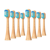 Ultrasonic nastavki za Philips Sonicare B2 Bamboo, 8 kosov