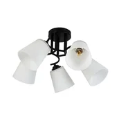 Plafonski luster PAFOS 5xE27/15W/230V crna