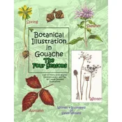 Botanical Illustration in Gouache - The Four Seasons