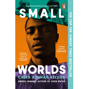 Small Worlds