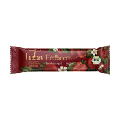 Bar vocni jagoda BIO Lubs 40g