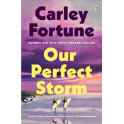 Our Perfect Storm