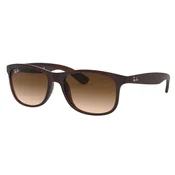 Ray-Ban Naocare za sunce 0RB4202607313 55 Andy, Braon