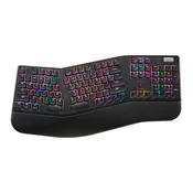 Sanwa Tastatura, Crna