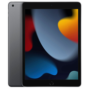 iPad 9 Wi-Fi 256GB - svemirski sivi