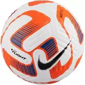 Lopta Nike NK FLIGHT - FA22