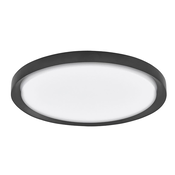 TROY PLAFONSKA SVJETILJKA LED 40W/3000K/2200lm/DIMM/IP20/MATT CRNA