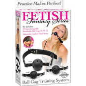 Ball Gag Training System