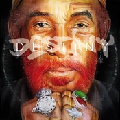 Lee Scratch Perry - Destiny (LP)