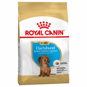 Royal Canin Breed Dachshund Puppy / Junior - Varčno pakiranje: 2x1,5 kg
