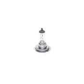 Bosch BS 1 987 302 777 ŽARNICA