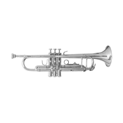 Trobenta Bach BbTR-501 706.003