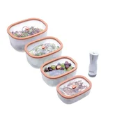 Status Fresko set vakuumskih posod, 5-delni, losos (0.5 L, 0.9 L, 1.4 L, 2.3 L, BVP50)