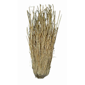 Lucky Reptile Grass grmičevje 25-40 cm
