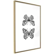 Poster - Butterfly Collection I 20x30