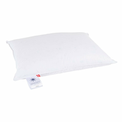 Polnilo za blazino s polnilom iz perja 50x70 cm Capella Medium – Universe of Sleeping