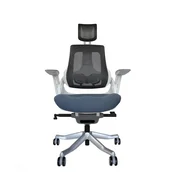Ergovision Ergonomski pisarniški stol iTrek | Barva: Belo-siva