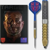 TARGET | Raymond Van Barneveld |G6 | SP | Steeldarts