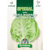 RADIČ BIANCA INVERNALE sel. CAVARZERE