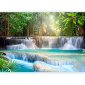 artgeist Fototapeta Awakening Of Nature, 300x210cm