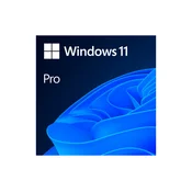 Licenca MICROSOFT OEM Windows 11 Pro/64bit/Eng Int/DVD/1 PC