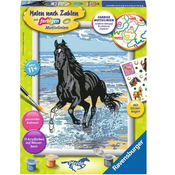 Slikanje po številkah z barvnimi motivnimi linijami - Konj na plaži