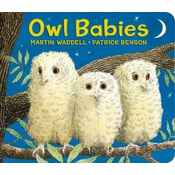 Owl Babies