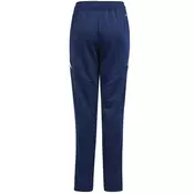 adidas TIRO24 TRPNT S pisana