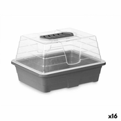 staklenik Siva Providan Plastika 21,5 x 12,8 x 17,4 cm (16 kom.)