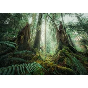 Ravensburger - Puzzle Moč narave: Gozd - 1 000 kosov