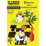 Through the Looking-Glass