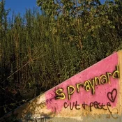 Spraynard - Cut And Paste (Orange Coloured) (LP)