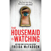 Housemaid Is Watching