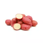 Krumpir crveni, (2000578)