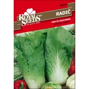 SEME ROYAL SEEDS 206 Radič Pan di zucchero