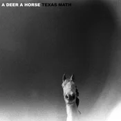A Deer A Horse - Texas Math (LP)