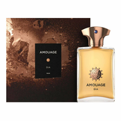 Amouage DIA as a man EDP - 100 ml